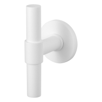 GPF8239.62 kruisknop op rozet 50x6mm