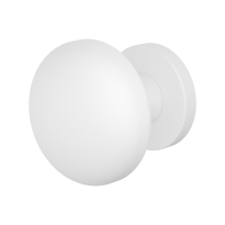 GPF9957.62-00 pad.st.knop met rond rozet