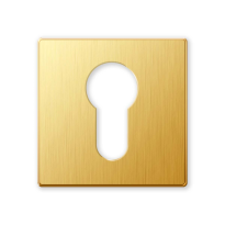 1291/BY cilinderrozet 50x50x6mm goud 24k