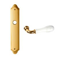 8010 Naxos deurkruk op langschild PC72, 24k Goud