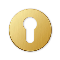 911/BY cilinderrozet 51x6mm goud 24k