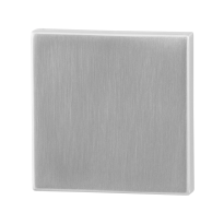 GPF0900.02 blinde rozet 50x50x8mm RVS geborsteld