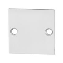 GPF0900.48 blinde rozet 50x50x2mm RVS gepolijst