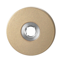 GPF1100.A4 rozet 50x8 mm Champagne blend