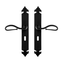 GPF6260.60 smeedijzer zwarte deurkruk Lumi op langschild BB56, 291x41x4mm