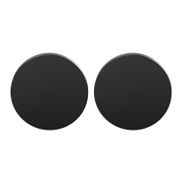 GPF8900VZ blinde rozet 53x6mm zwart