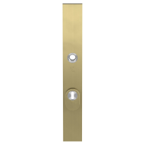 GPF9038.72P4 veiligheidsbuitenschild met kerntrekbeveiliging PC72  PVD mat messing