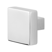 GPF9856.49 RVS gepolijst vierkante knop 53x53x16mm t.b.v. veiligheidsschilden vast incl. wisselstift