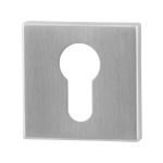 GPF0902.02 cilinderrozet 50x50x8mm RVS geborsteld