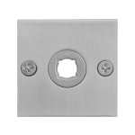 GPF1100.08 rozet 50x50x2mm RVS geborsteld