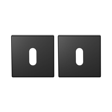 BLA901-R2 zwart egaal sl.rozet 53x8mm