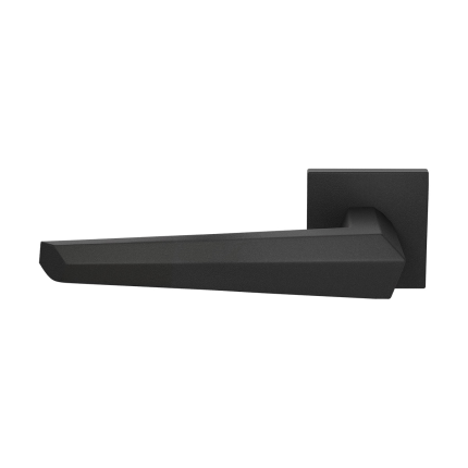 GPF3112.61-02L deurkruk op rozet 50x8mm