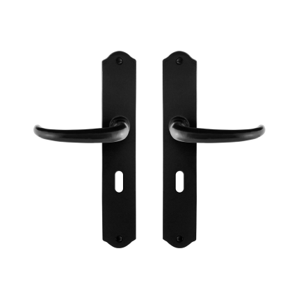 GPF6205.60 deurkruk op schild 238x41x4mm