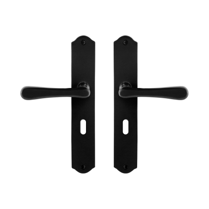 GPF6240.60 deurkruk op schild 238x41x4mm