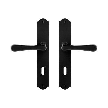 GPF6240.60 deurkruk op schild 238x41x4mm