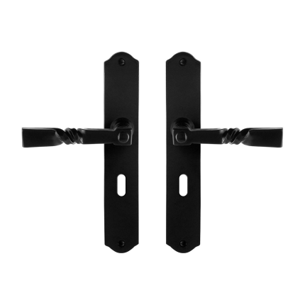 GPF6245.60 deurkruk op schild 238x41x4mm