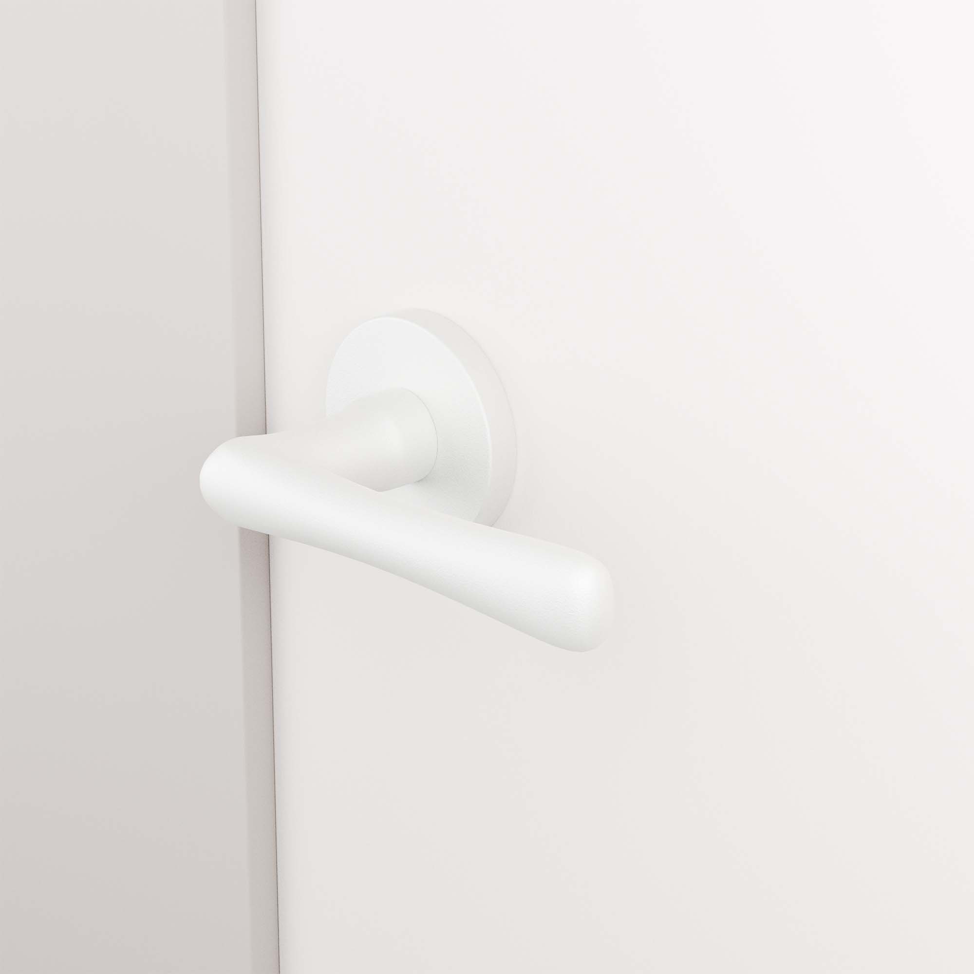 GPF1312620100 00 rozet sfeer deur wit schuin.jpg